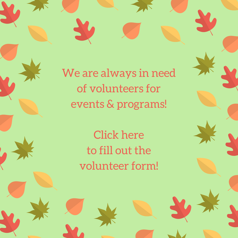 Big Love_Volunteer form